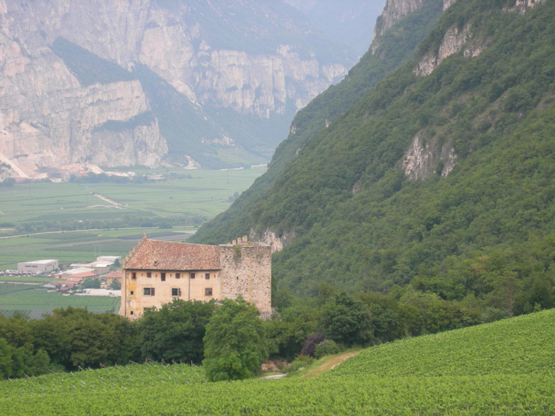 Castelli,Torri e Palazzi.....del Trentino